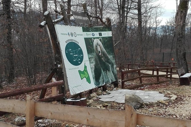 LiBEARty - the Brown Bear Sanctuary from Zarnesti - Price and value: what you really get for $289.20 per group