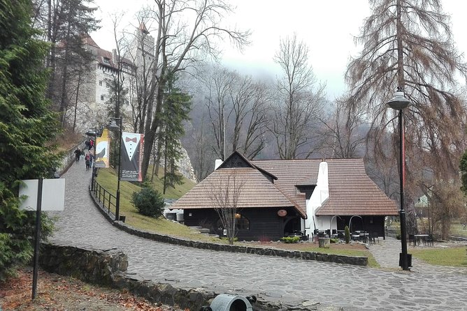 LiBEARty - the Brown Bear Sanctuary from Zarnesti - Who should book this tour from Bucharest?