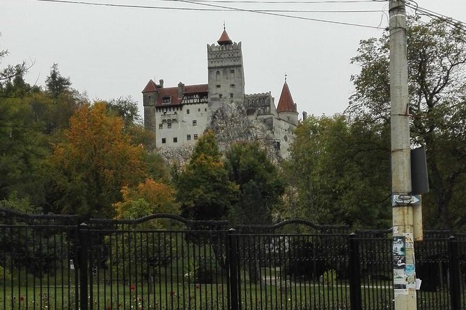 LiBEARty - the Brown Bear Sanctuary from Zarnesti - Bran Castle time: Dracula vibes plus a real royal story