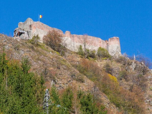 Meet Wild Brown Bears on the Roads to Real Dracula's Fortress - Key things you’ll enjoy about this bear and Dracula day trip