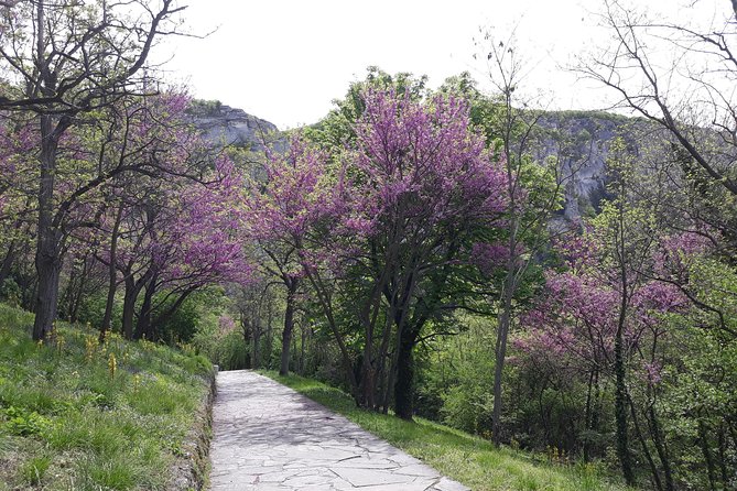 North-Eastern Bulgaria at a Glance - Ivanovo, Shumen & Madara from Bucharest - Price and Value: Is $210.57 Worth It?