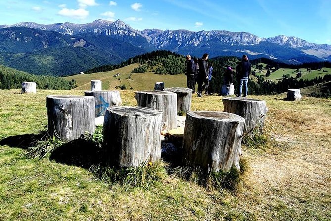 Off Road Adventures in Wild Carpathians - 5 Days - Brasov Old Town and the Black Church, Then Back to Bucharest