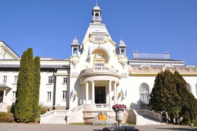 One Day Private Tour to Peles and Dracula Castles & Brasov City - Price and value: $216.25 per person, private vehicle included, tickets not