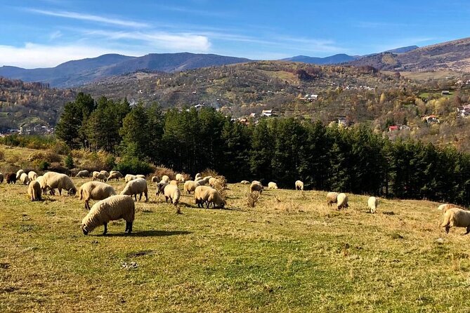 Original Carpathian Village Experience and Sinaia in one day tour - A One-Day Carpathian Villages and Sinaia Plan from Bucharest