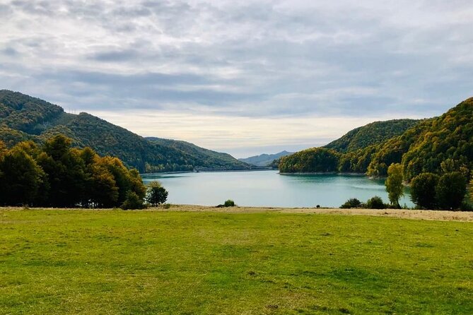 Original Carpathian Village Experience and Sinaia in one day tour - Stop 2: Paltinu Lake and dam views without ticket hassle
