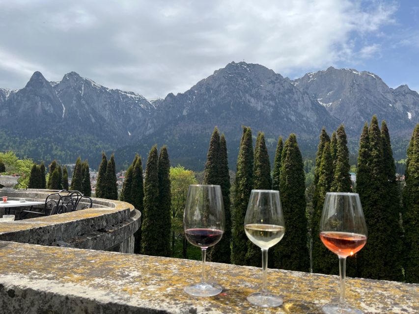 Peles & Cantacuzino Castles: Gourmet Wine & Cultural trip - Cantacuzino Castle: Neo-Romanian Style With Gardens Made for Panoramas