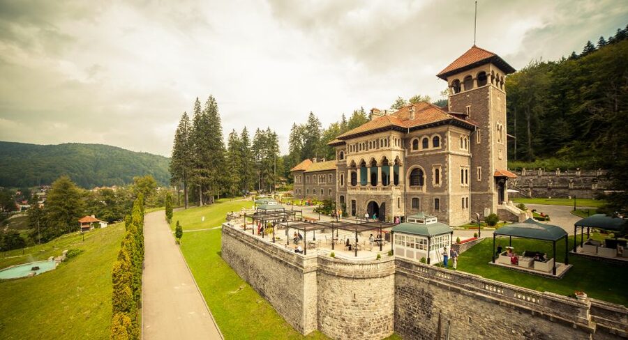 Peles & Cantacuzino Castles: Gourmet Wine & Cultural trip - Price and Value: Why $322 Can Make Sense for This Day