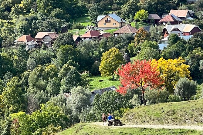 Peles castle and authentic Romanian village experience - day trip - Barajul Paltinu: a short green-lake break in the woods