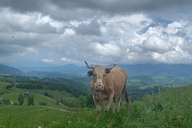 Peles castle and authentic Romanian village experience - day trip - How the long drive affects your day (and how to plan for it)