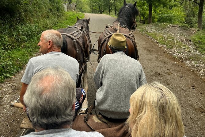 Peles castle and authentic Romanian village experience - day trip - University Square and the Palace of Parliament, seen from the road