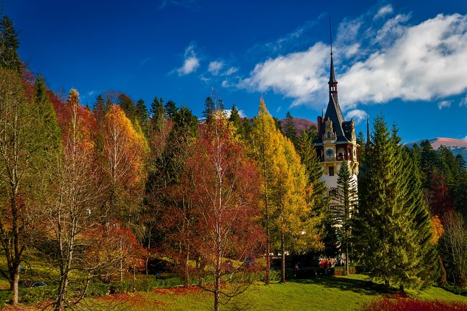 Peles Royal Castle & Wine Tasting - 9 hours - Getting there smoothly: pickup, private group, and car comfort
