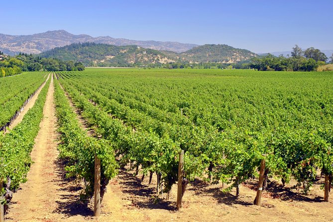 Peles Royal Castle & Wine Tasting - 9 hours - Who this tour suits best