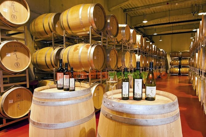 Prahova Salt Mine & Wine Tasting - Private day tour from Bucharest - Should you book this Prahova Salt Mine and Wine Tasting tour?
