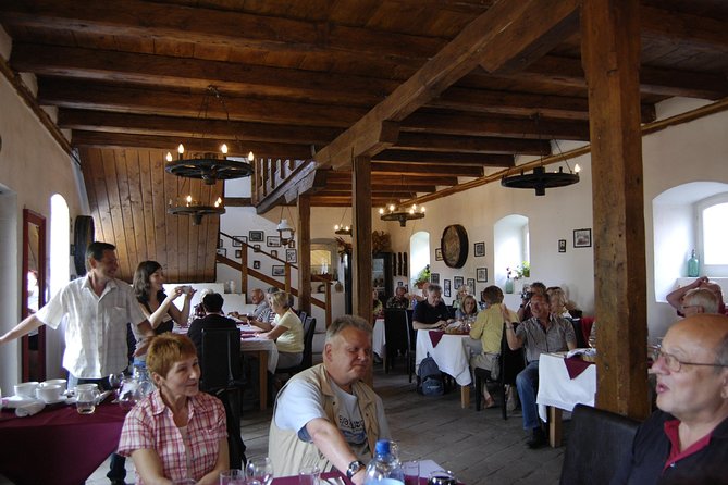 Prahova Valley Wine Tour from Bucharest Small Group - The tasting experience: 6 wines, guided, and built for learning