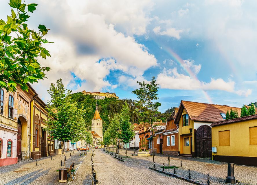 Premium Tour Bran & Peles Castle from Bucharest - Bucharest to Transylvania in one long day: pickup, van time, and what you actually get