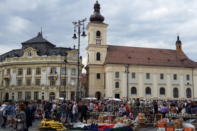Private 4-Day Tour in Transylvania from Bucharest Hotel Pick-up and Drop off - Day 4: Bears Sanctuary Zarnesti and Snagov Monastery on the Vlad Trail