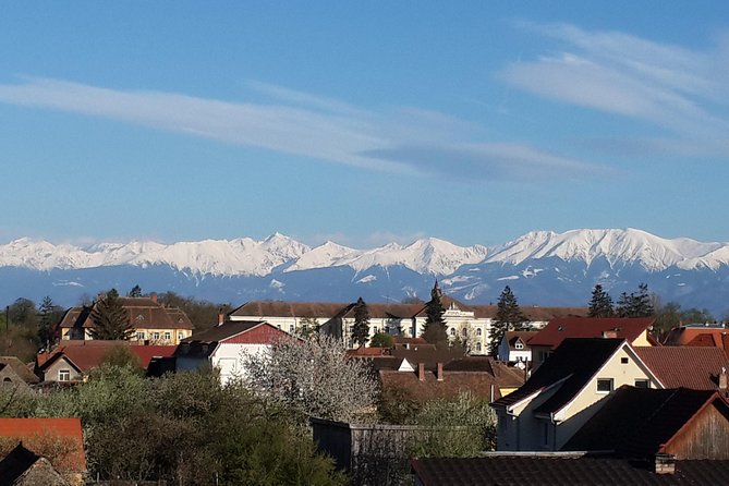 Private 4-Day Tour in Transylvania from Bucharest Hotel Pick-up and Drop off - Brasov as Your Base: Why One Home Helps on a 4-Day Trip
