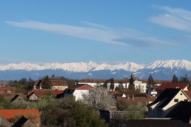 Private 5-Day Tour in Transylvania from Bucharest Hotel Pick-up and Drop off - Day 2: Bears in the forest, Viscri’s fortified church, and medieval Sighişoara
