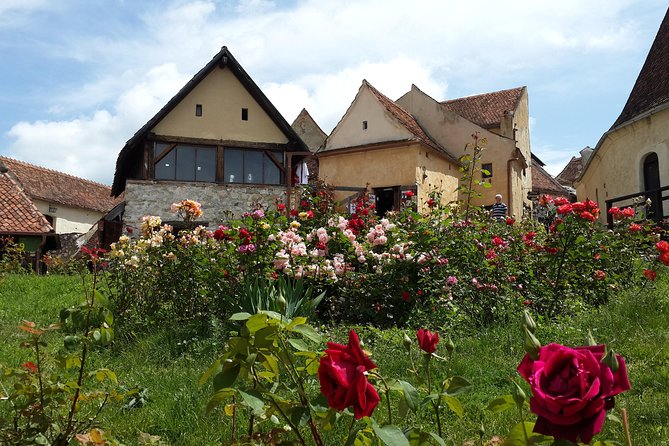 Private 5-Day Tour in Transylvania from Bucharest Hotel Pick-up and Drop off - Day 4: Hunyads Castle in Hunedoara and Alba Iulia’s star citadel