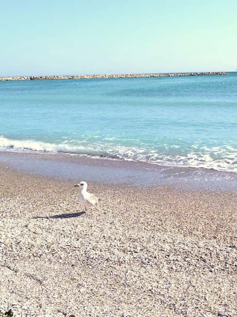 Private Bucharest Tour: Discover Constanța & Black Sea Coast - Mamaia Beach: toes in the Black Sea reset