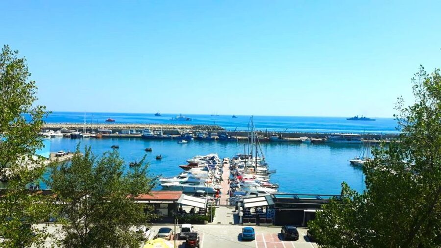 Private Bucharest Tour: Discover Constanța & Black Sea Coast - Price and value for a private 8-hour coast day
