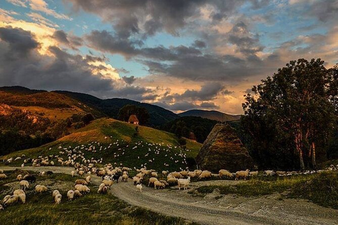 Private Day Tour to Historical Villages in Sinaia - Doftana Village, the monastery visit, and why the family farm stop steals the show