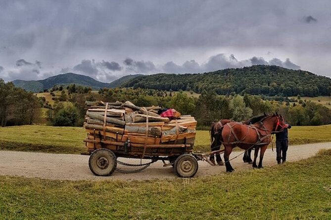Private Day Tour to Historical Villages in Sinaia - Price and value: is $178.92 per person a fair deal?