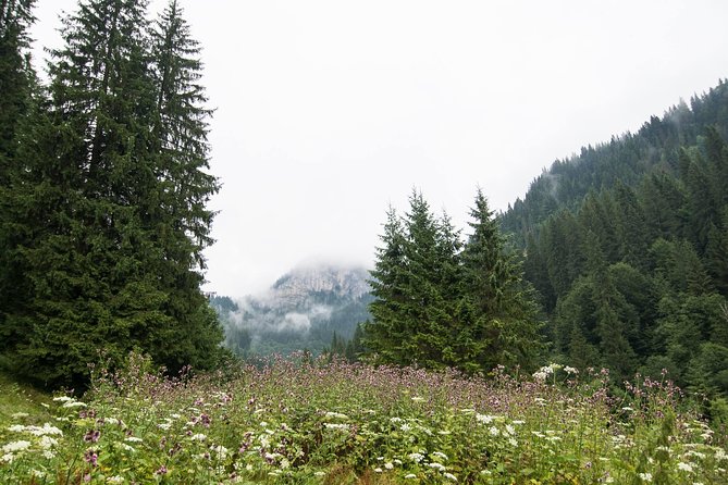 Private Daytrip Hike to Bucegi Mountains - Zănoaga Dreamland: the 4-hour hike with waterfall, lake, and gorge