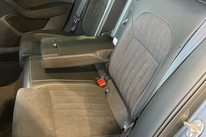 Private Driver to Giurgiu Port from Bucharest - The minivan ride: comfort, fuel included, and a driver who stays on task