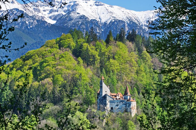 Private Movie Castles at Peles, Cantacuzino and Bran Castle Tour - Key things that make this tour work