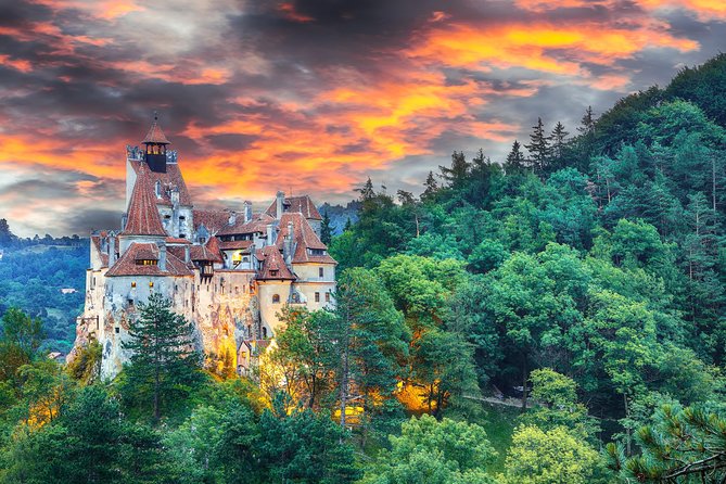 Private Movie Castles at Peles, Cantacuzino and Bran Castle Tour - Stop 1: Peles Castle, royal art you should budget time for