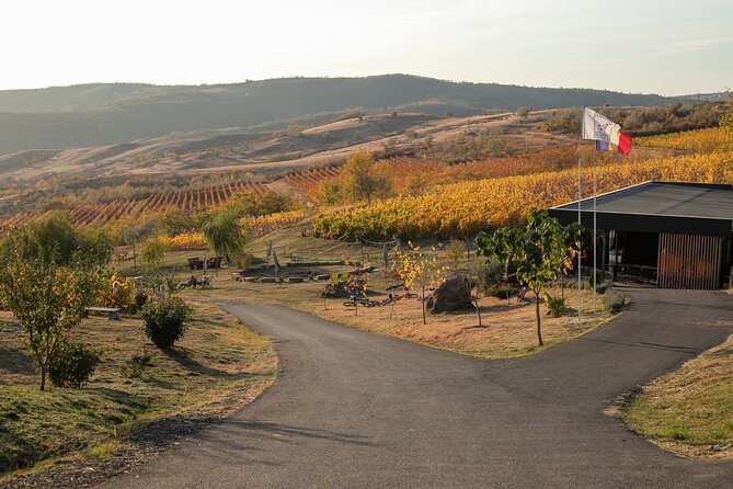Private Tasting Expedition Along Romania’s Most Famous Wine Route - Key highlights before you go