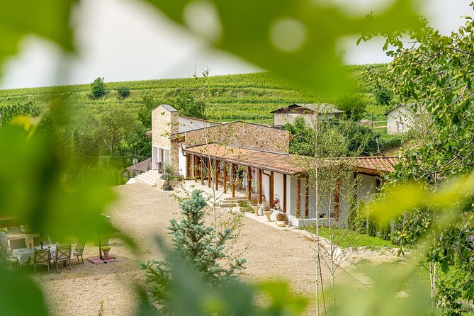 Private Tasting Expedition Along Romania’s Most Famous Wine Route - Price and value: what $325.80 really covers