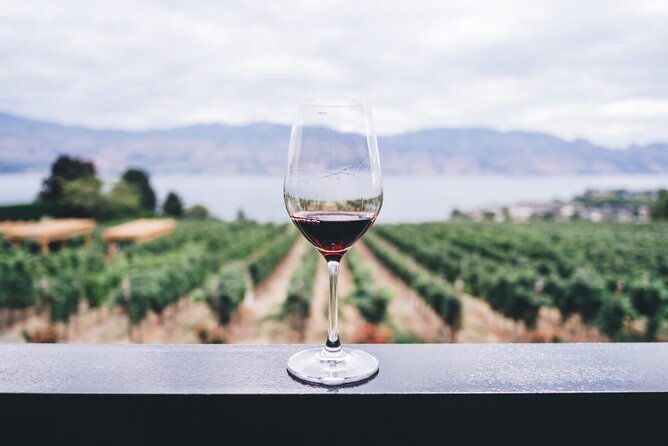 Private Tasting Expedition Along Romania’s Most Famous Wine Route - The Dealu Mare vineyard stop, where tradition meets practice