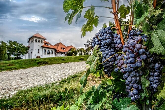 Private Tour to Salt Mine, Lunch at Winery and Dracula Grave - Price and logistics: what $167.75 really covers