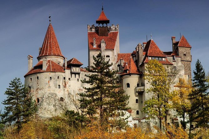 Private Tour : Transylvania from Bucharest 3 Days - Day 3: Liberty Bear Sanctuary Zarnesti, Rasnov citadel, and Snagov Monastery