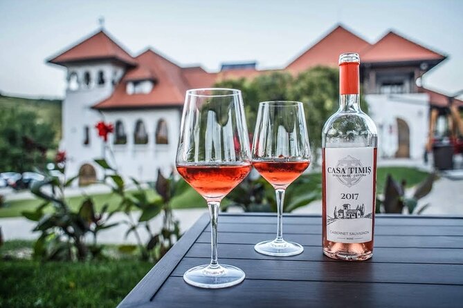 Private Wine Tasting in Cellar and the Winemaking process - Key things to know before you go