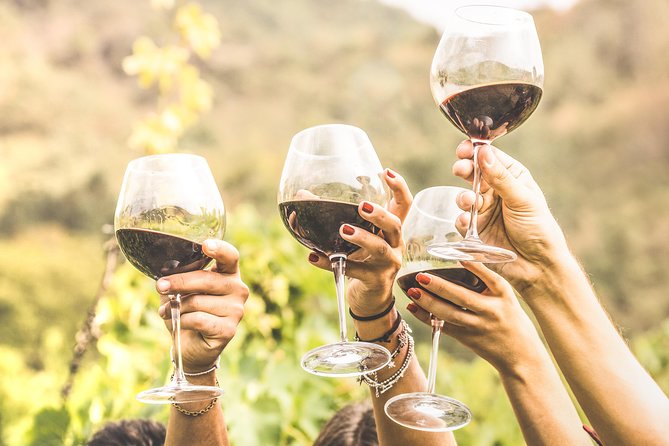 Romanian Wine Tasting - Key highlights worth your attention