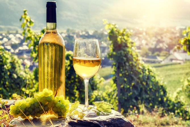 Romanian Wine Tasting - Stop 1: LacertA Winery and the production story behind the glass