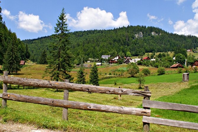 Slanic Salt Mines & Village Charms: Bucharest Day Escape - Slănic village: crafts, animals, and meeting local life