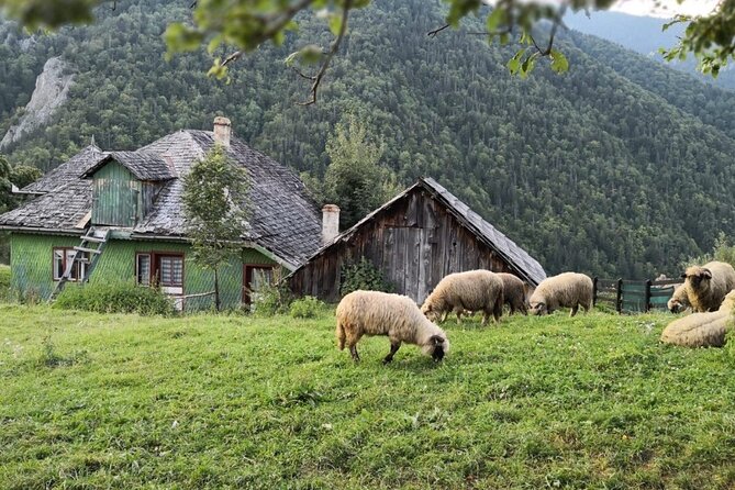 Slanic Salt Mines & Village Charms: Bucharest Day Escape - Price and value: is $171.27 per person fair?
