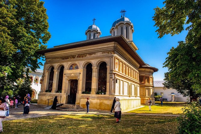 Small Group Tour to Mogosoaia Palace and Snagov Monastery - Transportation comfort, wifi on board, and why it matters more than you think