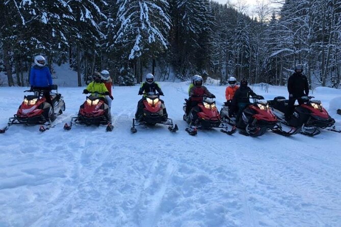 Snowmobiles, Sky Lift & Winter Sports - Private Tour - The Extra Cost: 80€ Cash Snowmobile Fee Per Machine Per Hour