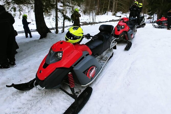 Snowmobiles, Sky Lift & Winter Sports - Private Tour - Guides Make or Break the Day, and Here They’re Praised