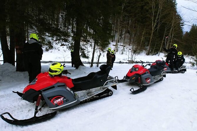 Snowmobiles, Sky Lift & Winter Sports - Private Tour - When It Runs: Snow Layer, Month Range, and Weather Dependence