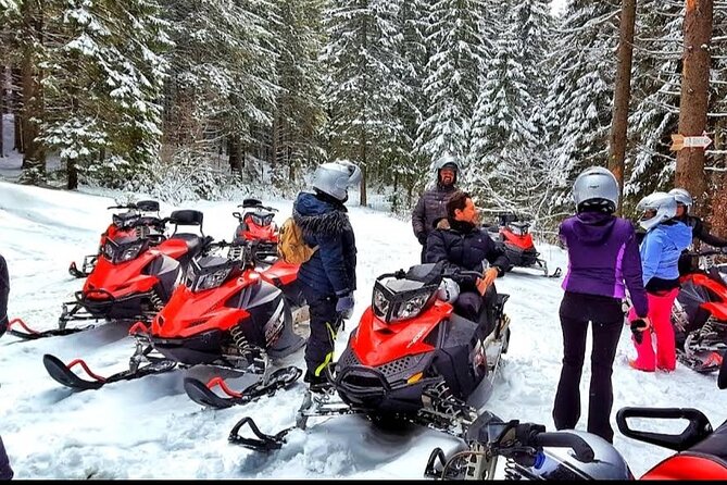 Snowmobiles, Sky Lift & Winter Sports - Private Tour - How to Get Value From the Private Format