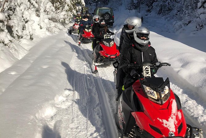 SnowMobiles Tour in Carpathian Mountains - The 8:00 am pickup, drive time, and small group rhythm