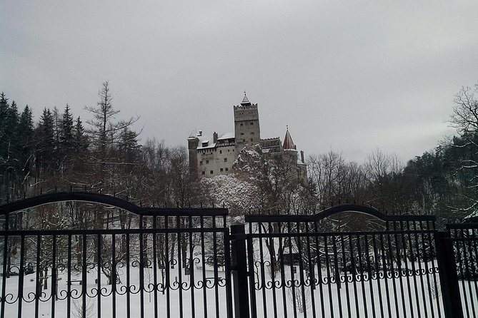 The Castles from the Carpathian Mountains! The Fixers Private Tour - Brasov Old Town: Council Square, Black Church, and Rope Street