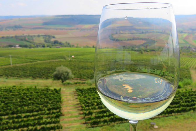 The wine route by bike - Key things to know before you ride