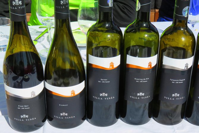 The wine route by bike - Rotenberg Winery ride: paved lanes, grape fields, and optional gravel muscle
